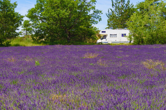 Caravan camping at lavender field, France