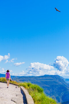 Tourist with camera observe vulture bird in flight, canyon Gorges du Verdon, Provence in France