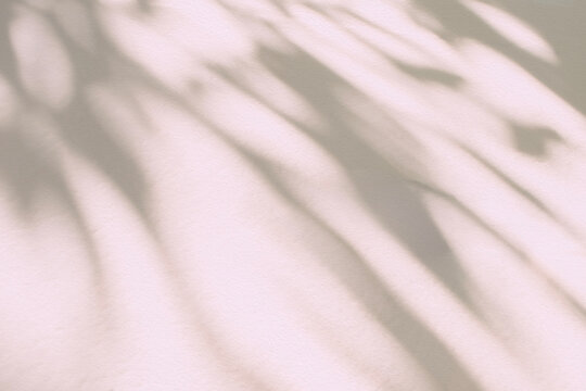 Abstract  light shadow of leaf beige, pink blurred background. Natural diagonal leaves tree branch shadows and sunlight on white wall. Shadow overlay effect foliage mockup