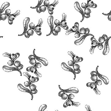 seamless pattern cranberry cowberry wild hand drawn. red fruit, berry lingonberry, bearberry above, redberry overhead, collection dessert cranberry cowberry wild black sketch illustration