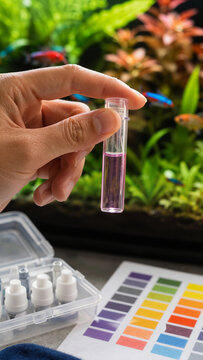 A person holds a test tube with purple liquid above an aquarium filled with plants and colorful fish. Nearby, a testing kit shows various color samples