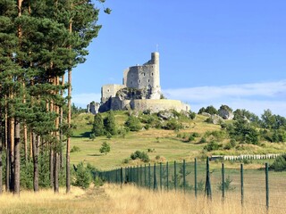 Średniowieczny Zamek obronny w Mirowie, Wyżyna Krakowsko-Częstochowska, Szlak Orlich Gniazd, na Jurze, Polska, Europa © Albin Marciniak
