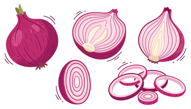 Red onion set with fresh whole bulb half and chopped ring