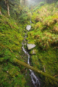 Mossy rocks and stream in alishan
