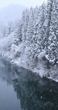 雪降る森と只見川