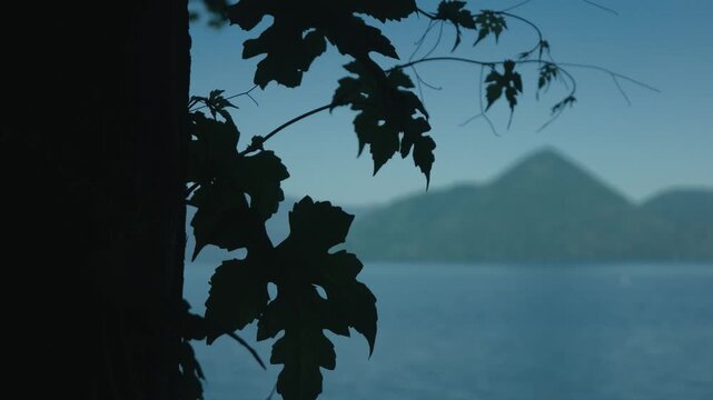 Silhouettes of tree trunks, branches, and leaves against a blue sky, the surface of Lake Toya, and the silhouette of Nakajima Island in the background.