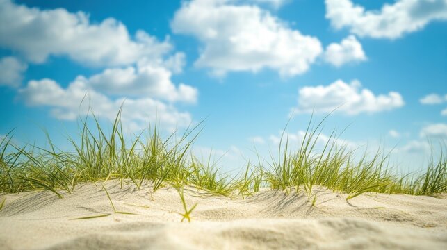 Green grass growing on sand dunes under a blue sky with clouds