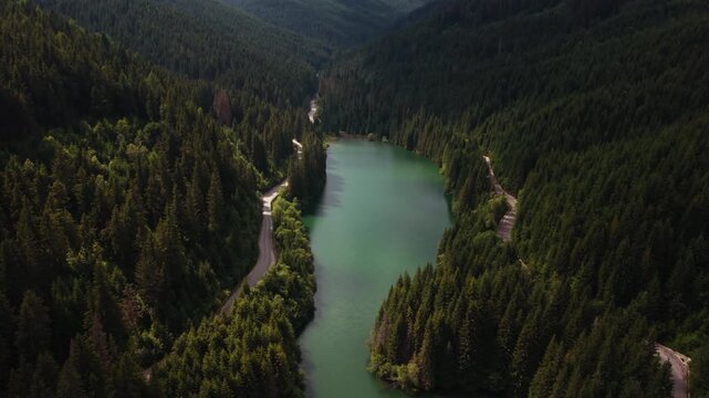 Narrow Emerald Lake Arm and Winding Shore Road