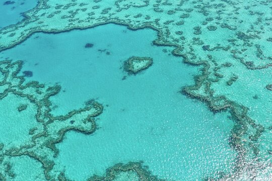 Heart Reef aerial view in Great Barrier Reef