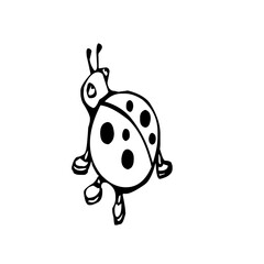 Hand drawn ladybug illustration, simple black and white insect doodle icon © Salma