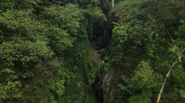 4K aerial view of a hidden waterfall cascading down a cliff surrounded by lush forest foliage.