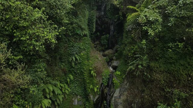 4K aerial view of a hidden waterfall cascading down a cliff surrounded by lush forest foliage.