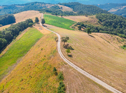 Aerial drone view of a winding dirt track bisecting sun-scorched hillside pastures and a vibrant green crop field in rolling countryside. Rural concept.