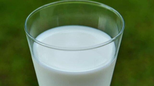 Fresh milk in a glass