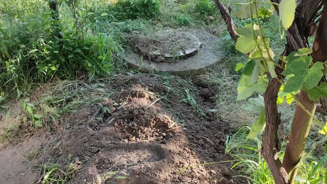 Dug up backyard with dirt pile and grass covered septic tank manhole in summer