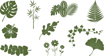 Obraz premium A curated collection of detailed botanical illustrations showcasing a variety of lush tropical leaves and vibrant foliage in a simple minimalist line art design on