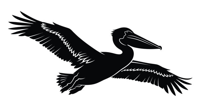 Pelican flying through the air with its large wings spread wide, showcasing its distinctive shape and beak.