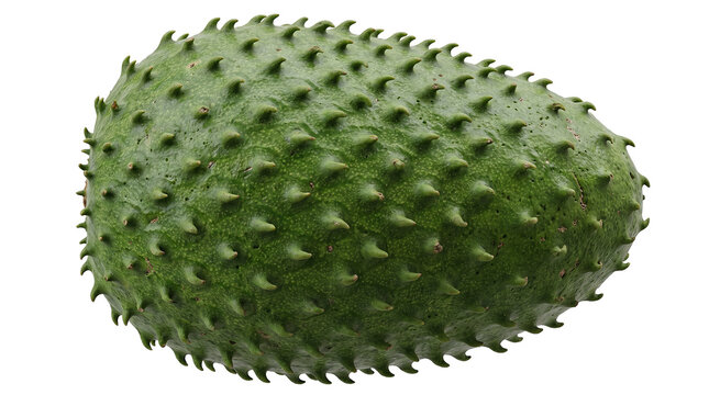 Fresh Green Soursop Ultra Realistic PNG