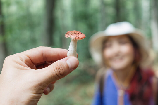 Smiling woman in sun hat watches as a companion holds up a freshly picked wild mushroom in a green forest. Foraging concept.