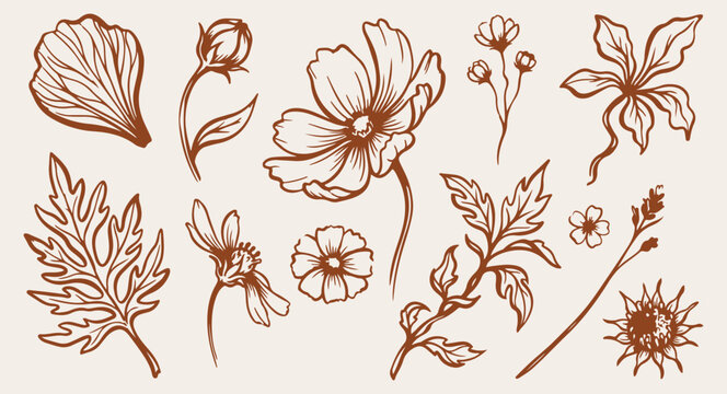 spring flower botanical blossom pattern, delicate spring meadow flower doodle sketch, sweet blooming floral illustration, spring garden vector background, lovely seasonal floral design, hand drawn spr