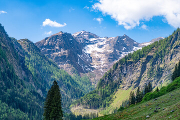 Fototapeta premium Mountain landscape meets untouched nature and colorful meadow. Scenic panorama reveals dramatic mountain scenery, while peaceful landscape invites hiking and summer tourism