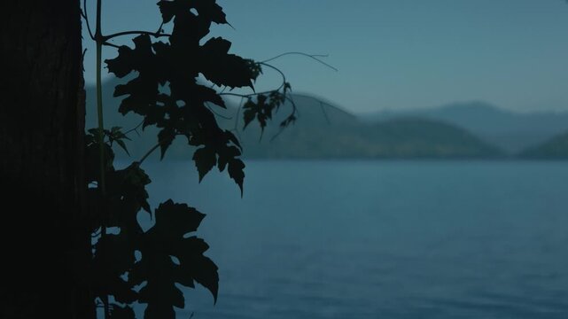 Silhouettes of tree trunks, branches, and leaves against a blue sky, the surface of Lake Toya, and the silhouette of Nakajima Island in the background.
