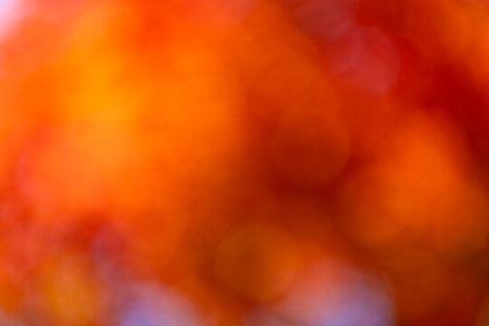 Blur backdrop. Orange fall background. Defocused blur bright orange. Blurred autumn background. Backdrop blurred fall. Blurry autumn backdrop. Blurred orange background. Defocused blurry autumn