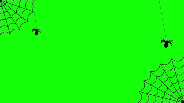 Animated Spiders and Cobwebs Halloween Frame Overlay on Green Screen and White Background