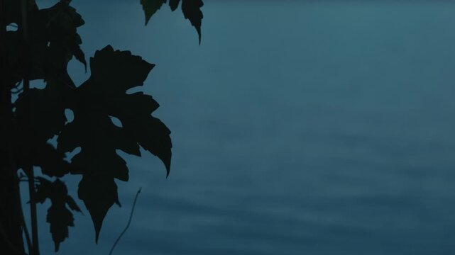Silhouettes of tree trunks, branches, and leaves against a blue sky, the surface of Lake Toya, and the silhouette of Nakajima Island in the background.