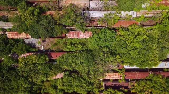 Aerial top down view of old rusty train wagons abandoned on overgrown tracks 