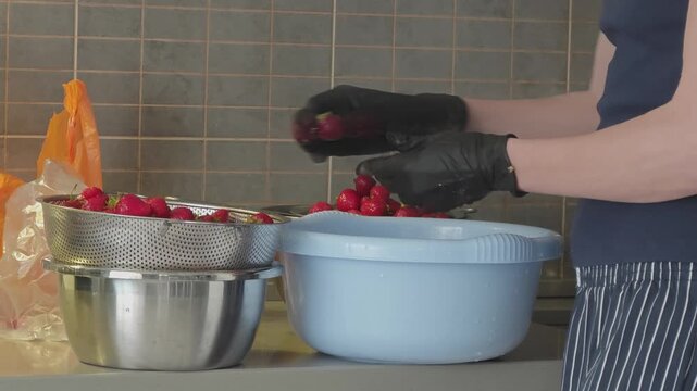 Closeup of a pastry chef wearing black gloves carefully selecting and cleaning fresh, ripe strawberries, preparing them for dessert or jam