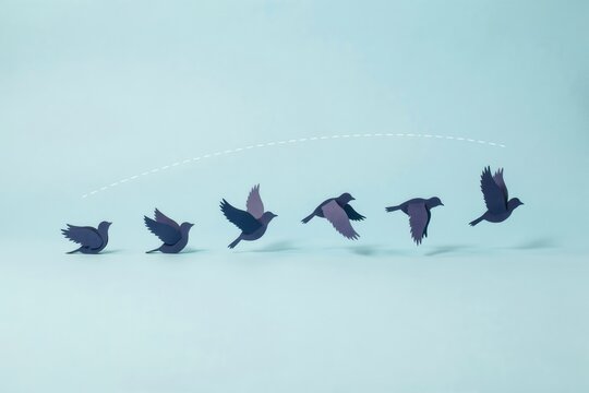 Time is running out - conserve now and protect nature for future generations with this impactful visual