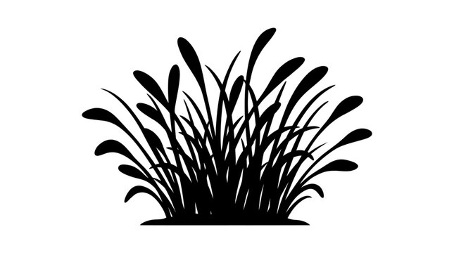 Cad tree lines Silhouette Reeds, Vector Grass Set, Black Plant Vector, Aqua Weed Outline, Nature Background, Botanical Illustration, Grass Tuft Silhouette, Marine Plant Design vactor