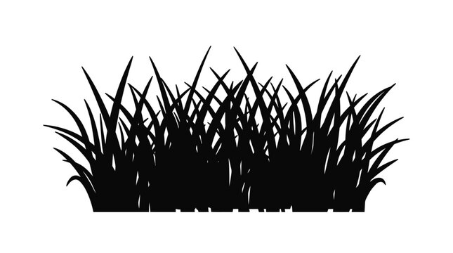 Cad tree lines Grass Silhouette Vector. Weed Bushes. Outdoor Nature. Wild Field Edge. Plant Outline. Greenery Border. Landscape Design Element. Garden Scenery. Flora Illustration. vactor