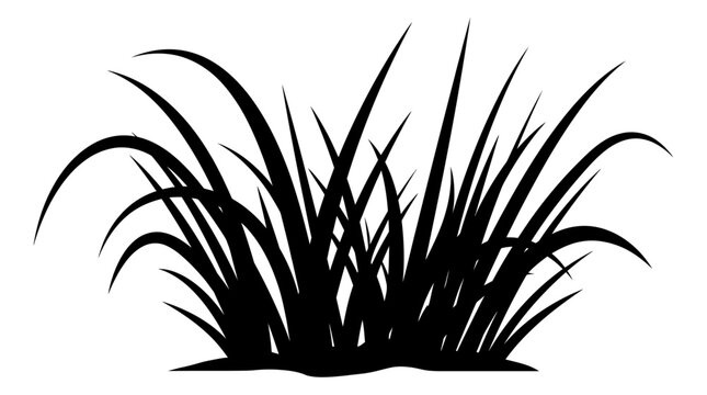 Cad tree lines Silhouette of tall grass with lush tufts and blades. Sketch of natural meadow foliage for outdoor vector illustration. black graphic icon. vactor