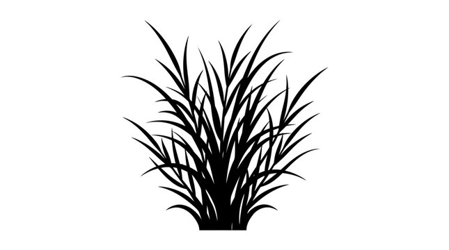 Cad tree lines Black Grass Silhouette Set, 3 Vector Elements, Decorative Plant Outline for Flat Design vactor