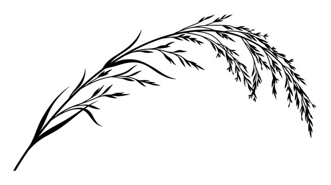 Cad tree lines Black Wheat Stalk Vector Illustration. Hand-Drawn Grass Spike Art. Farm Cereal Plant Design for Eco Logo, Eco-friendly Brand, Cooking Menu, Natural Product Label vactor