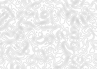 Abstract topographic map contour lines pattern background © MstLalmon