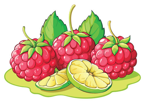 Colorful raspberries and lime slices.