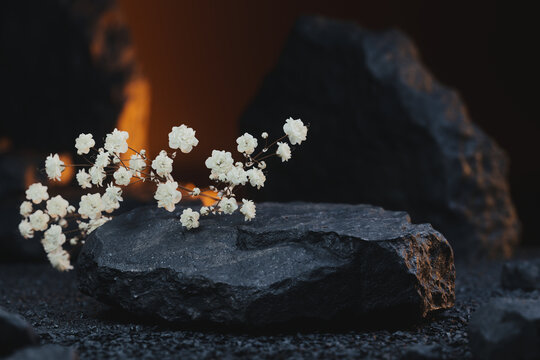 Dramatic 3D render of a black stone podium with dried white gypsophila flowers on rocks, macro mockup of an empty display stage for cosmetics and beauty products in warm moody lighting with copy space
