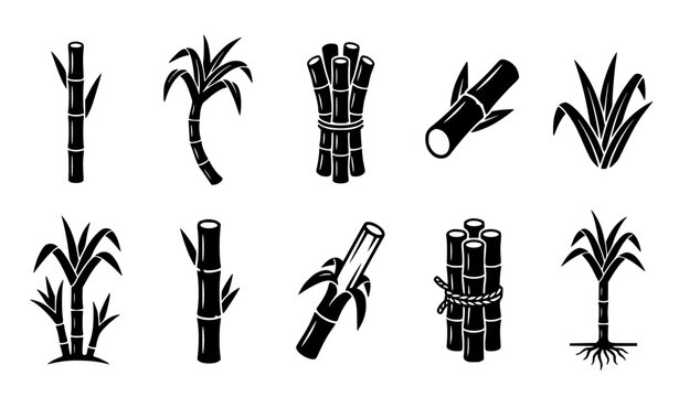 black sugarcane plantation vector icons with stalk leaves harvest and farming symbols
