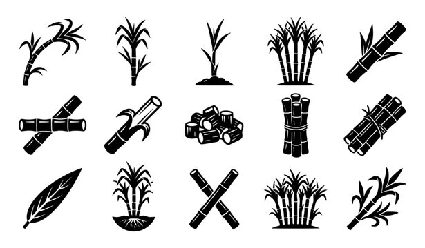 black sugarcane vector symbols for farming plantation harvest food and agricultural design