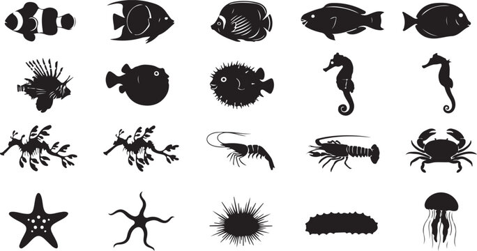 Collection of silhouette marine life animals including fish and sea creatures.