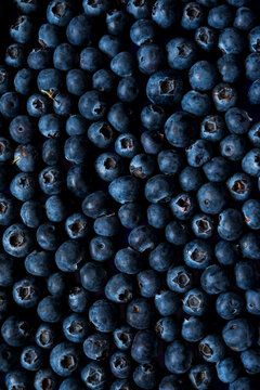 Blueberries Background for Food Recall, Food Safety, E. coli Health Alert, Healthy Eating and Organic Fresh Fruit