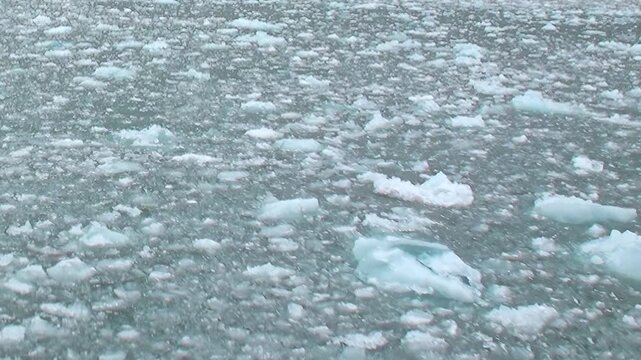 Witness the breathtaking, icy expanse of the Arctic Ocean from a ship. Countless shimmering ice floes drift gracefully across the frigid waters, forming a mesmerizing natural mosaic.