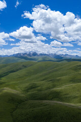 Fototapeta premium Beautiful green grassland and cloudy sky landscape in qinghai province, China