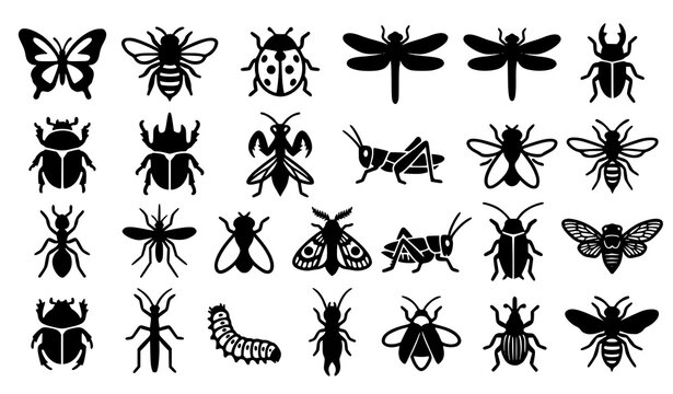 Bold Stylized Insect Black White Graphic Vector Icon Set