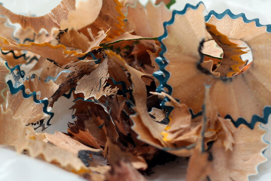 close-up view showing the intricate texture, curves, and serrated edges of colorful wooden pencil shavings.