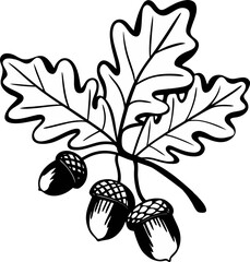 Oak leaves and acorns illustration, autumn foliage graphic design elements, monochrome woodcut style drawing, vintage botanical vector art, nature vector set © MD FAHIM