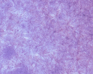 Fototapeta premium Horizontal soft violet crystal mineral structure macro wallpaper